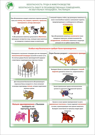 безопасность труда в животноводстве