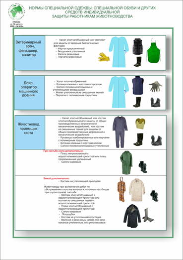 нормы специальной одежды